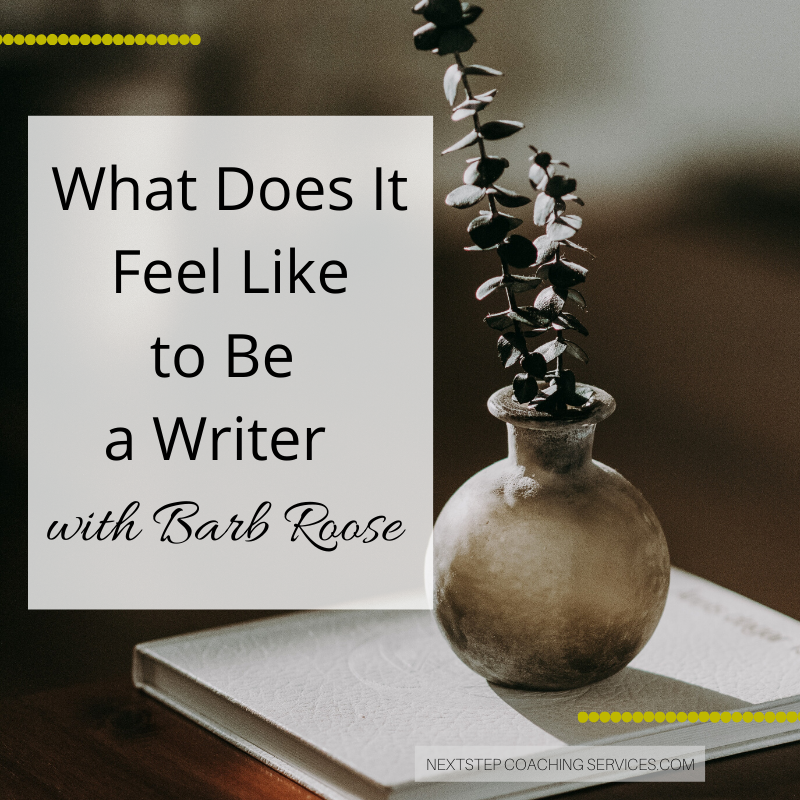What Does It Feel Like to Be a Writer: With Barb Roose
